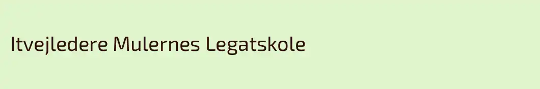 Itvejledere Mulernes Legatskole